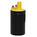 B6A-12029-B-Ignition-coil-yellow-top-64-73-1.webp