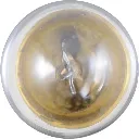 97-License-Plate-light-bulb-97-64-73-3.webp