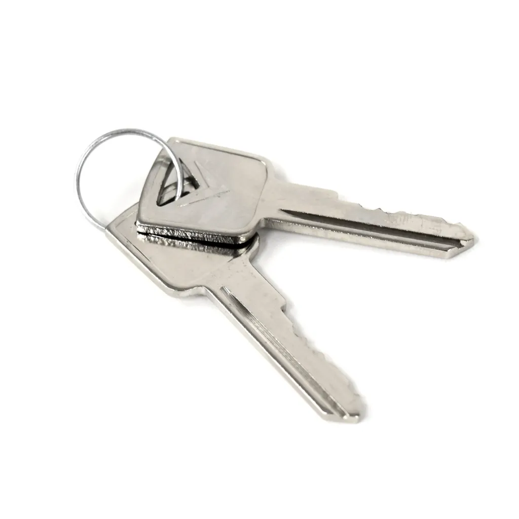 Ignition cylinder lock with keys 64-66-4.webp