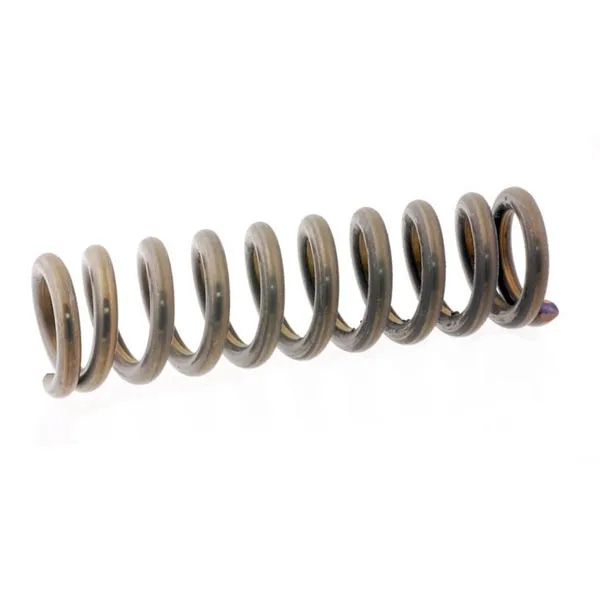 [C0DZ-6421232-B] Door Hinge Repair Spring 64-68