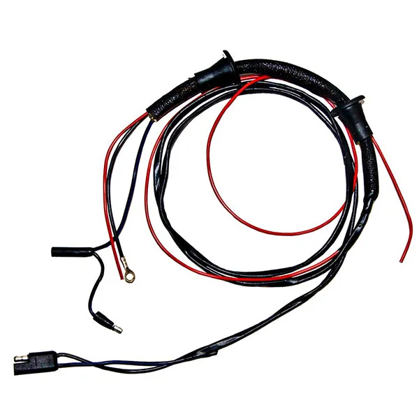 Door Light wire w/o speakers 65-66