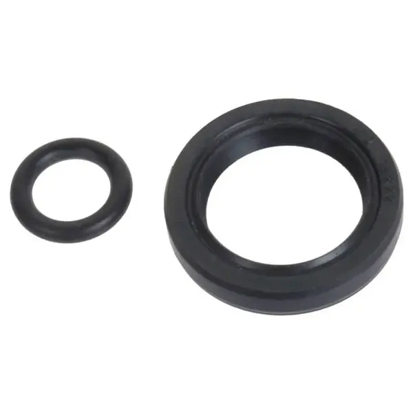 C4-C6 Control Shaft Seal 64-73