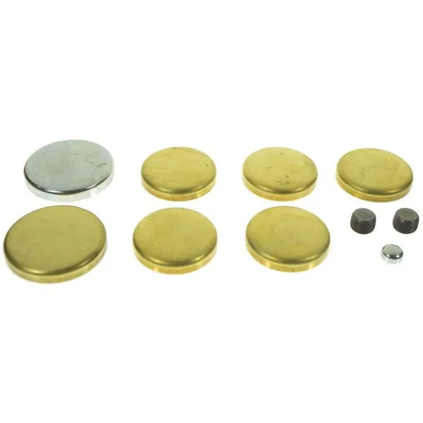 [C1DZ-6026-BR] 170-250 Engine Expansion Plug Kit 64-73